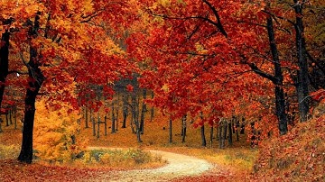 An Authentication Error Occurred the Function Requested Is Not Supported [SOLUTION]