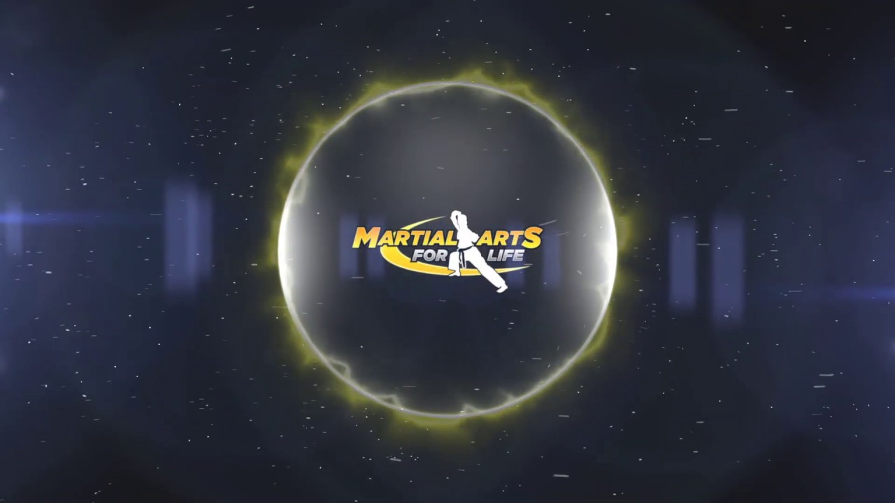 Advanced Boxing Combinations | Martial Arts for Life