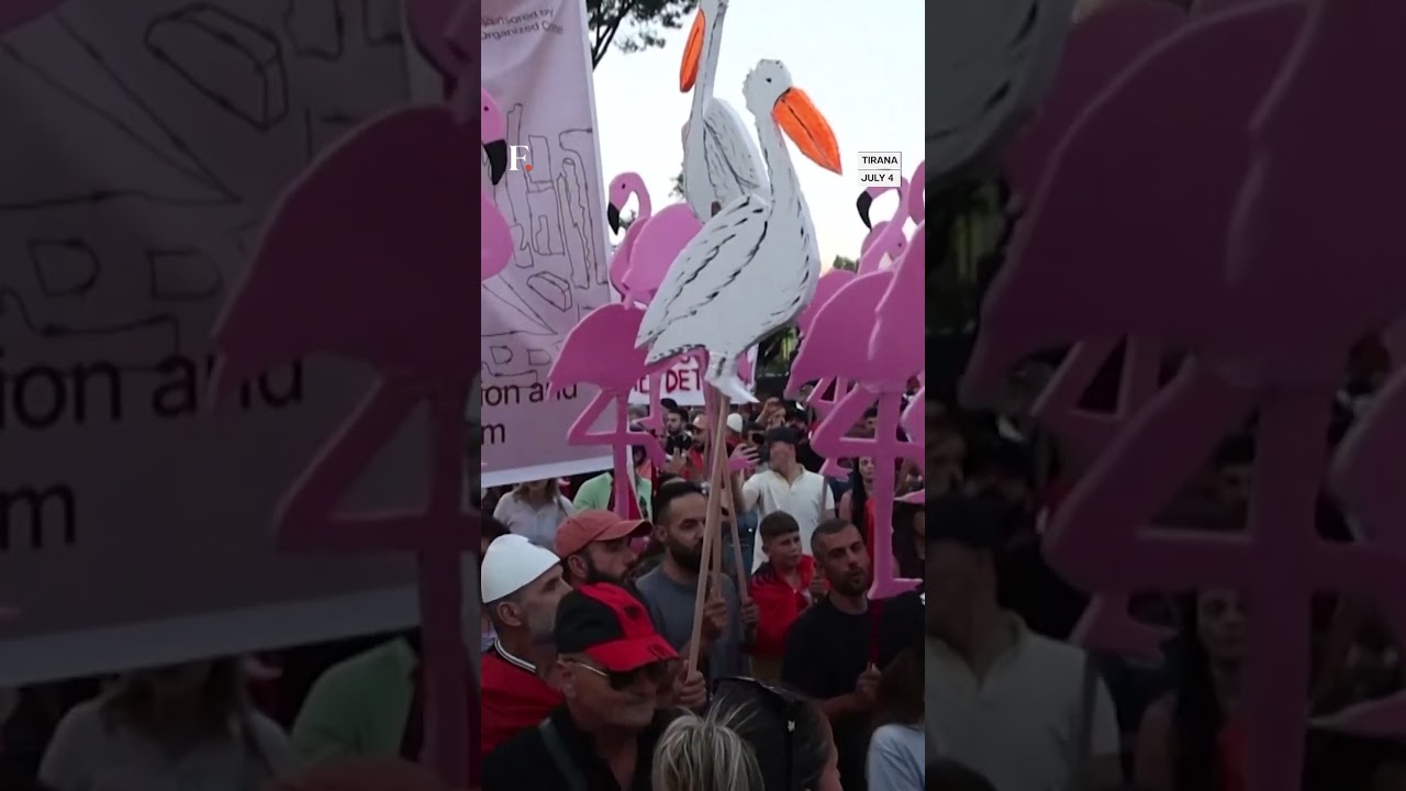 Albania: Protesters Seek PM’s Resignation Over Trump-Linked Resort thumbnail
