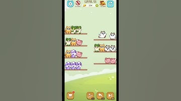 Cute Cat Sort Puzzle lv 12 #gaming #puzzlegame #puzzle #cats #braingame #funnycats #gameplay #game