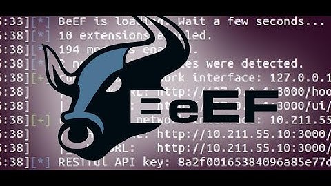 How to Install Beef in Kali Linux  || Cryptus Cyber Security