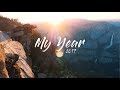 My year 2017