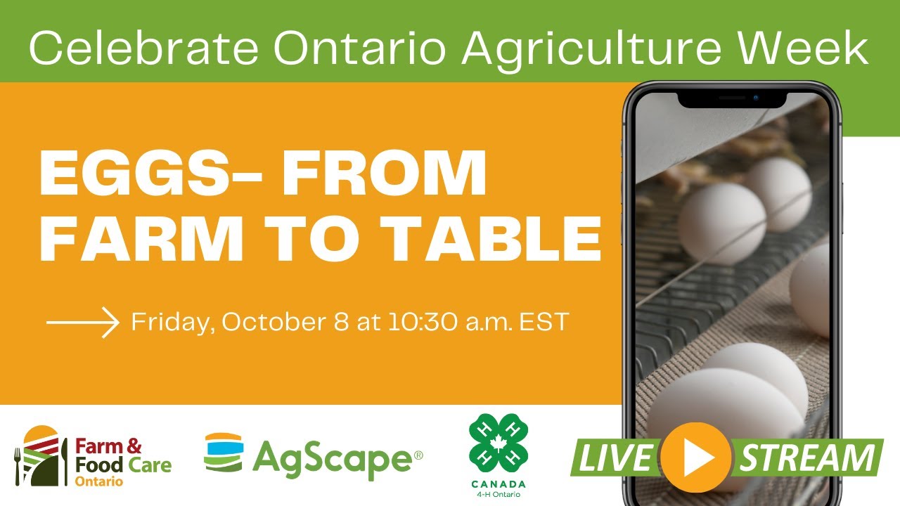 Virtual Field Trip Egg Producer Janelle and Chef Mike YouTube