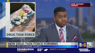 Famous New drug task force in Muncie Profile