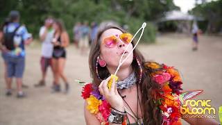 A journey into sonic bloom 2018