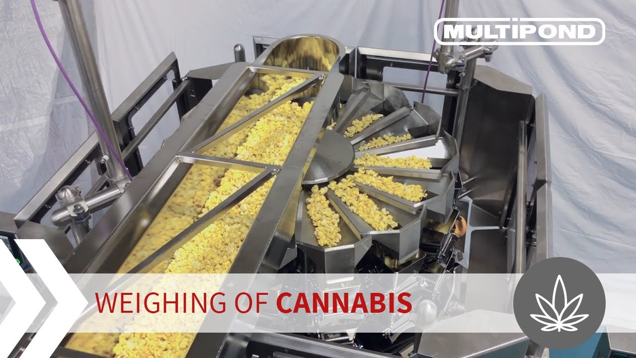 Multihead weigher | Automatic weighing of cannabis/popcorn | MULTIPOND