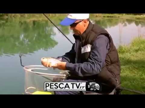 Video: Pescando Sull'ultimo Ghiaccio. Selezione Corretta Dell'attrezzatura Da Pesca