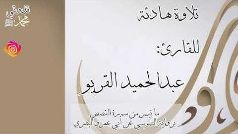 تلاوة هادئة للقارئ عبدالحميد القريو | ما تيسر من سورة القصص برواية السوسي عن أبي عمرو البصري