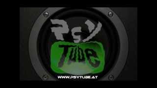 P.laoss ૐ Stickdub