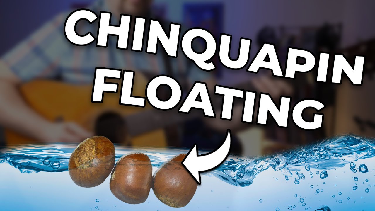 Chinquapin Hunting // Floating // Bluegrass Guitar Lesson