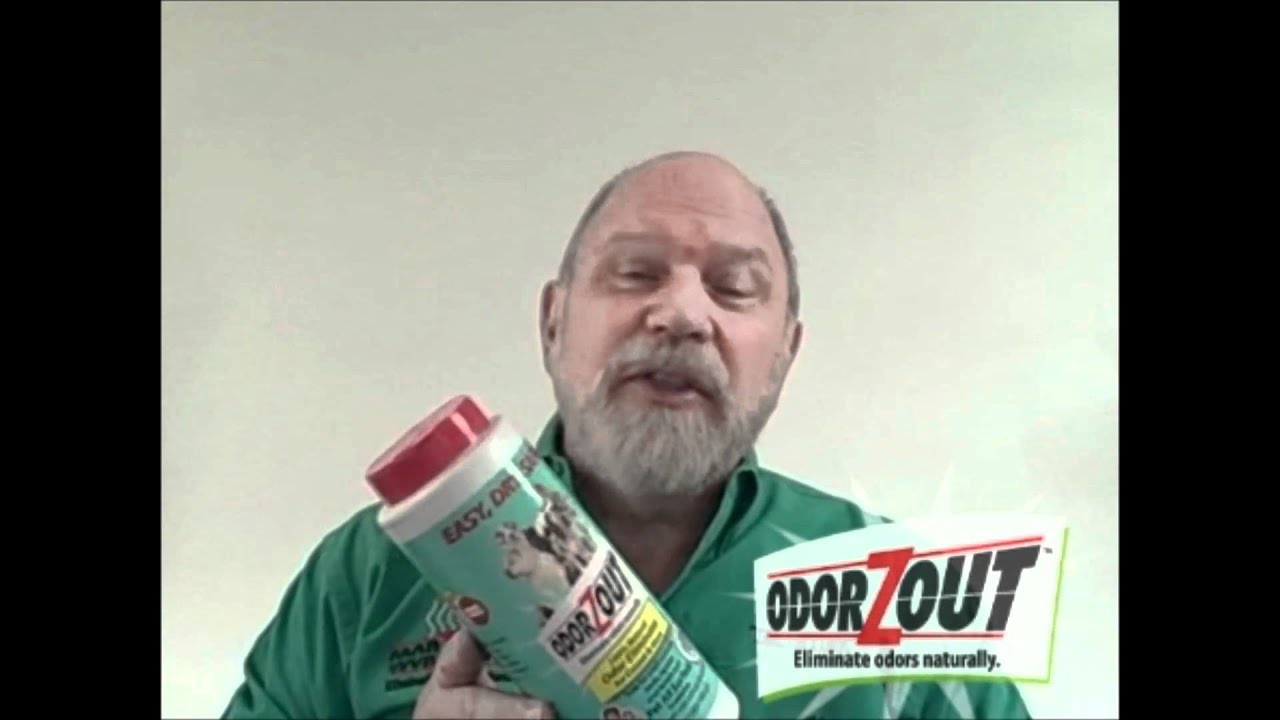 Skunk Smell Removal YouTube