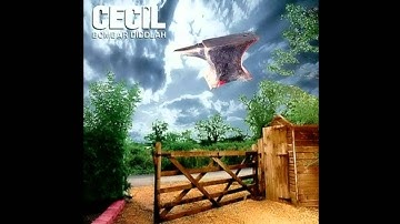 Cecil - Spirit Level