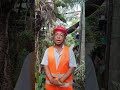 MILAN DEWAN #GARDENER #UAE