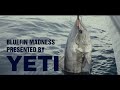 Bluefin Tuna Madness | Presented By YETI "4K"