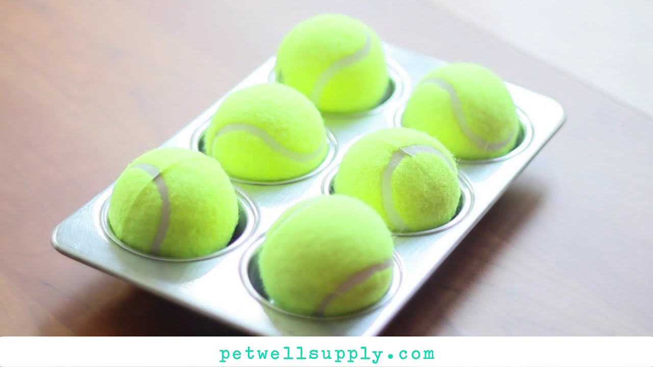DIY Dog Brain Teaser Toy YouTube diy-dog-brain-teaser-toy-youtube