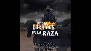 Mix De Puros Corridos Pa' La Raza | Parte 2