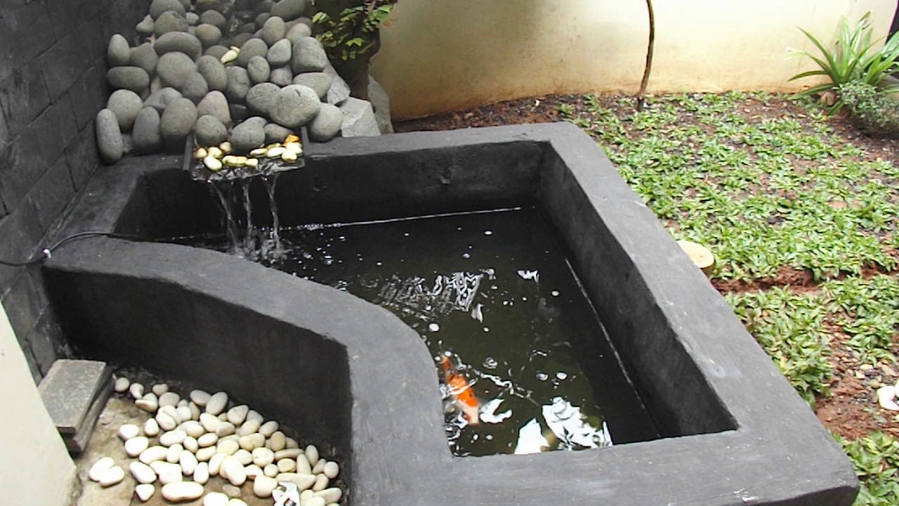 Kolam Ikan Koi Di Belakang Rumah Tentang Kolam Kandang Ternak