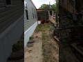 tree removal - zamora tree service