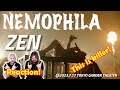Musicians react to hearing NEMOPHILA / ZEN [Official Live Video]!