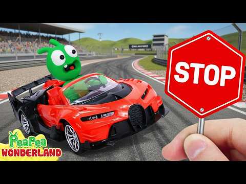 Pea Pea Competes in a Car Racing Battle! - Pea Pea Wonderland