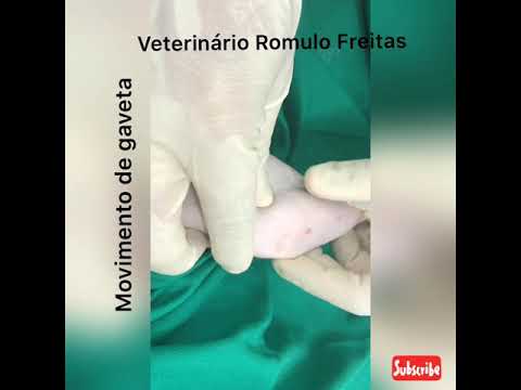 Vídeo: Quanto Custa O Medicamento Veterinário? As Despesas Com Reparos Do Ligamento Cruzado Canino (Parte 1)