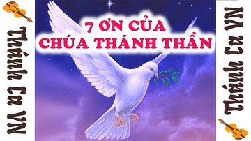 7 ƠN CỦA CHÚA THÁNH THẦN VÀ Ý NGHĨA CỦA MỖI ƠN - TÌM HIỂU VÀ GIẢI THÍCH KINH THÁNH - THÁNH CA VN