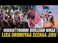 Hidhattoonni Goojjam Irraa Gara Lixa Oromiyaa Seenaa Jiru Konkolaattonni Jimaa Fe An Saamamaa Jiru 