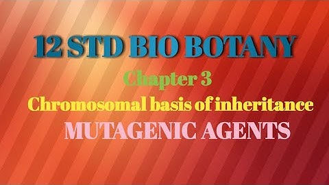 12 STD BIO BOTANY (Mutagenic agents)