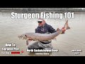 Sturgeon fishing 101  how to sturgeon fish the north saskatchewan river