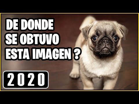 Video: Cómo Saber De Dónde Es La Imagen