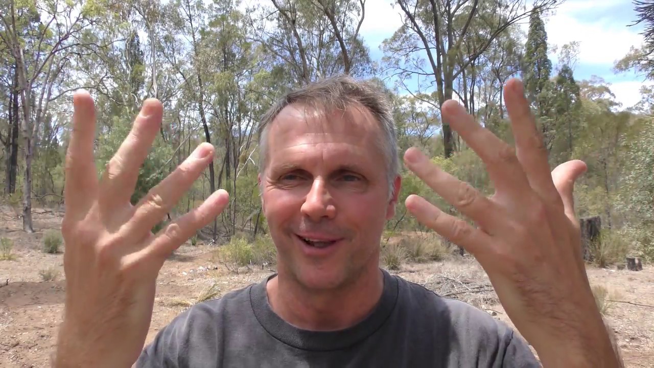 first experience of flight journey Ayahuasca, Sledgehammer of love: My First Ayahuasca Meditation Experience