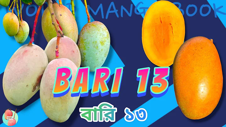 BARI 13 - A Complete Review || বারি ১৩ আম || A Hybrid Variety From Bangladesh