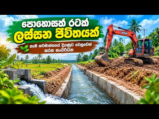 කෘෂි කර්මාන්තයේ ව්ප්ලවීය සංවර්ධනයක් | Agriculture Sri lanka | developing sri lanka