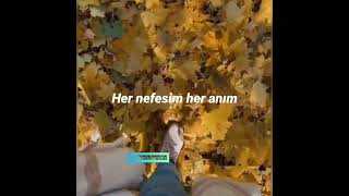 Yine Aylardan Kasım🍂