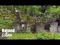 🌲 Ruined Cottage in Beautiful Woodland (2 HOURS) Calming Nature & Wildlife Sounds – Instantly Sleep