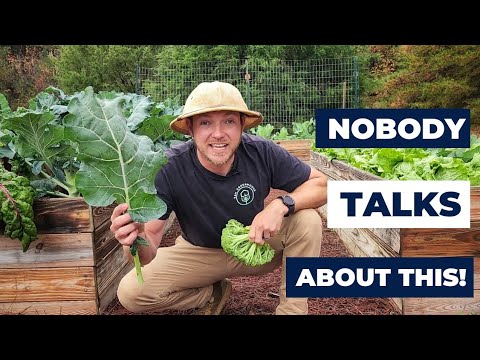 Video: Är alla brassicablad ätbara?