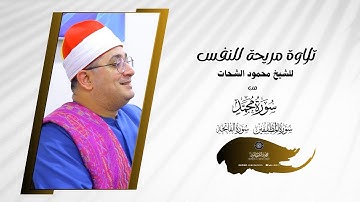 تلاوة مريحة للنفس للشيخ #محمودالشحات من سورة محمد والمطففين والفاتحة | سحيم السنطة.