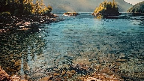 Steve Reich - Music for a Large Ensemble