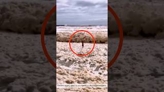 Bleib Niemals An Einem Strand Wie Diesem