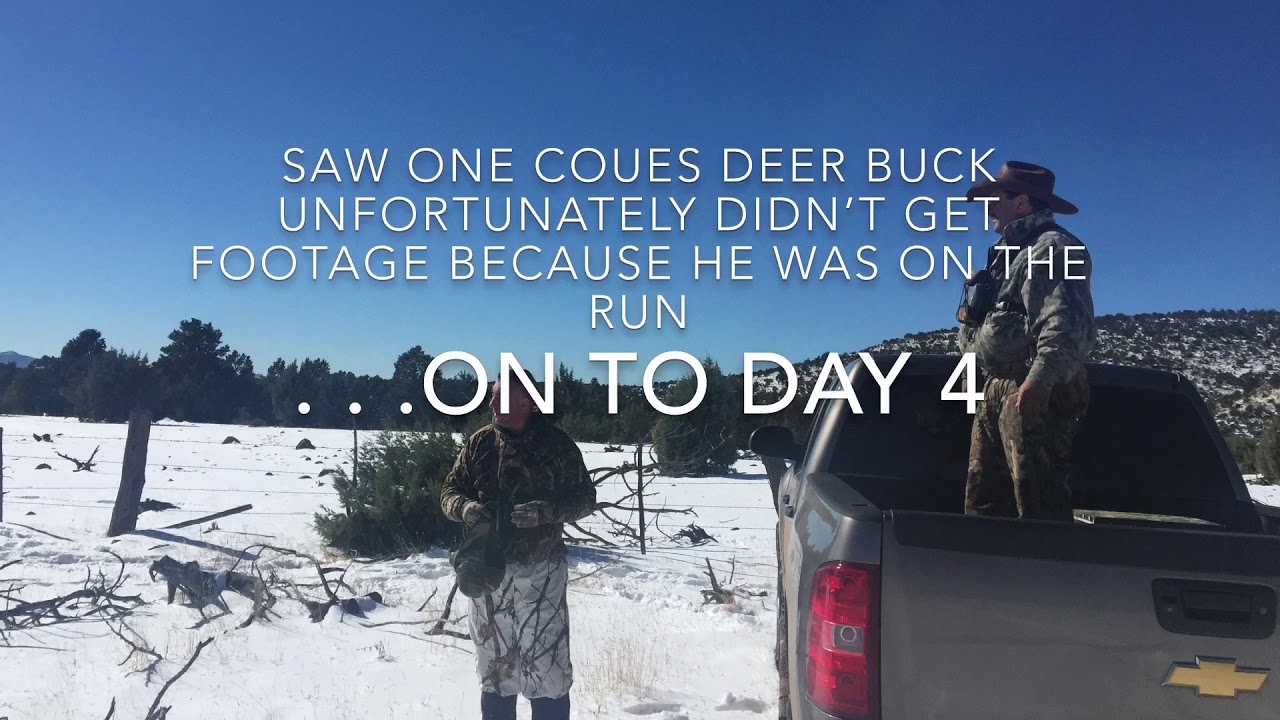 New Mexico Hunting Unit 23 Coues Deer