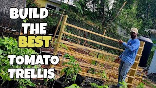 Skip Traditional Tomato Cages!