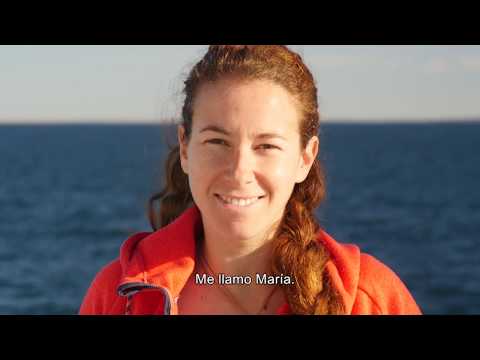 Vídeo: Diversidad De Invertebrados En La Profunda Gran Bahía Australiana (200–5000 M)
