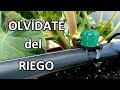 Riego por Goteo Casero, Regulable y Sencillo | Estupendo si te vas de Vacaciones!!!