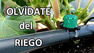 Riego por Goteo Casero, Regulable y Sencillo | Estupendo si te vas de Vacaciones!!!