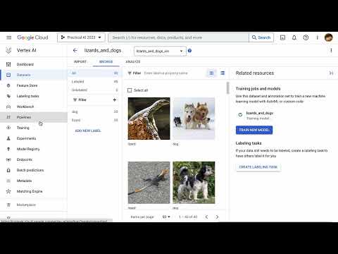 Practical AI 012a: Training an Image Classification Model with Vertex AI