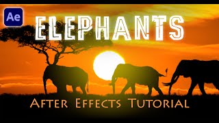 Elephants - After Effects Tutorial