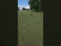 Charlottesville Dog Owners, Watch This!