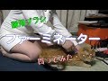 猫さん用ブラシ、ファーミネーター買ってみた。