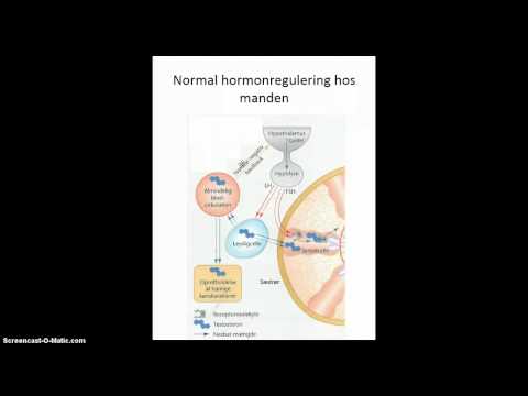Video: Protein I Urinen Hos Mænd