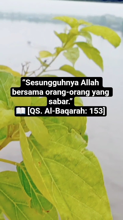 #motivasiislami #youtubeshorts #fypシ゚viral